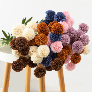 6 Kepala Simulasi Chrysanthemum