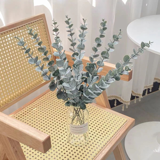 Темно-зеленый одностворчатый лист эвкалипта