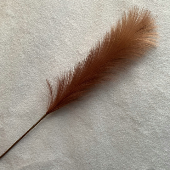 Természetes szárított pampafű lakberendezés