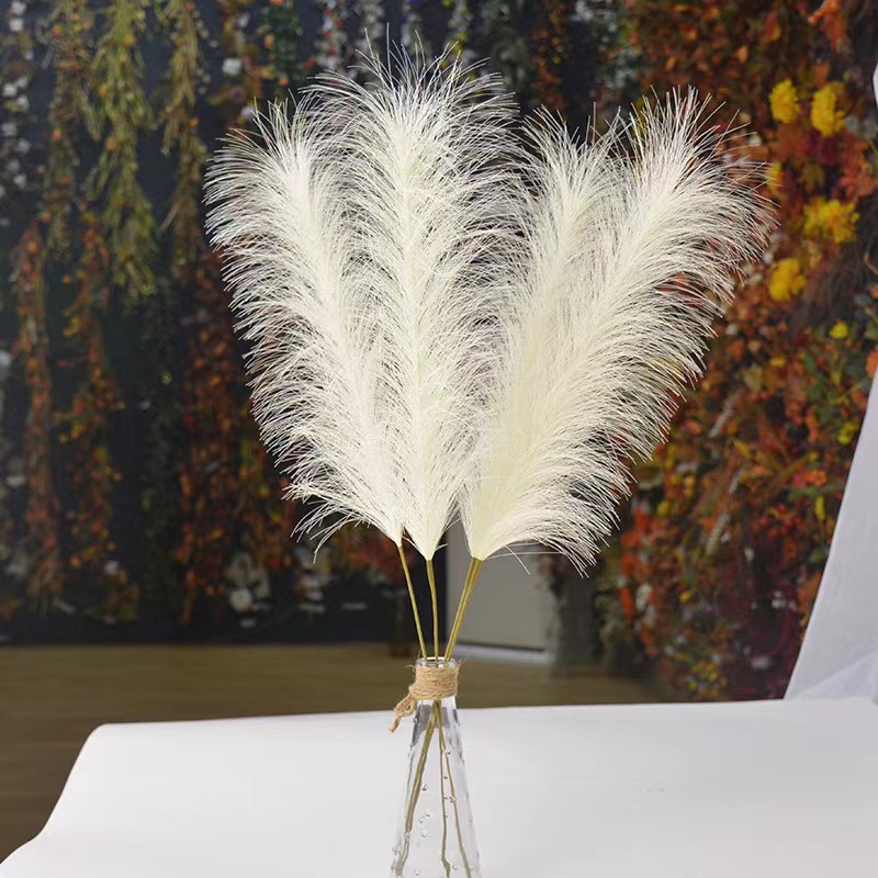 pampas grass