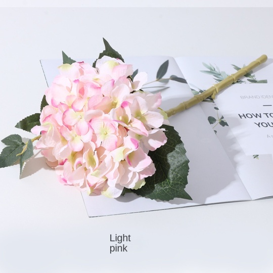 Барвисті штучні одного гортензії