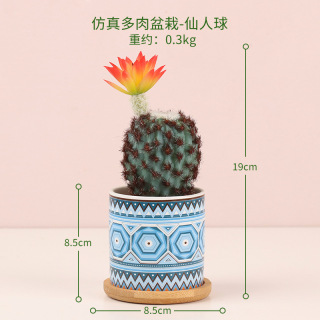 Mini Small Bonsai Desktop Decor