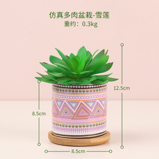 Mini Small Bonsai Desktop Decor