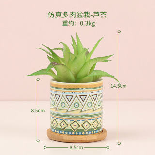 Mini Small Bonsai Desktop Decor