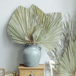 Decorazione di foglie di palma essiccate