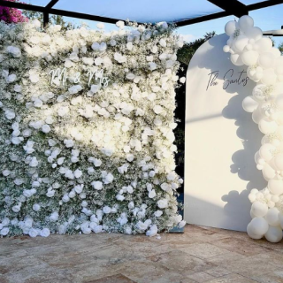 Decorazione del fondo della parete del fiore di Gypsophila