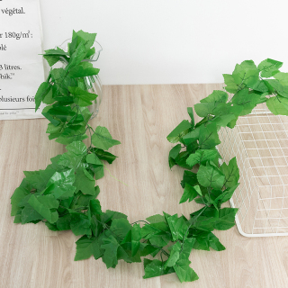 Viti finte anguria uva edera Scindapsus Aureus foglie