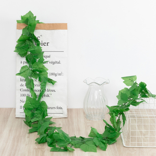 Viti finte anguria uva edera Scindapsus Aureus foglie