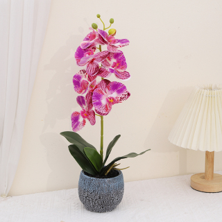 Artificial Phalaenopsis Small Bonsai