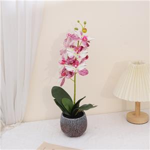 Artificial Phalaenopsis Small Bonsai