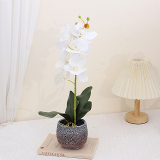 Artificial Phalaenopsis Small Bonsai
