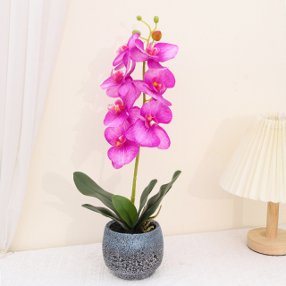 Artificial Phalaenopsis Small Bonsai