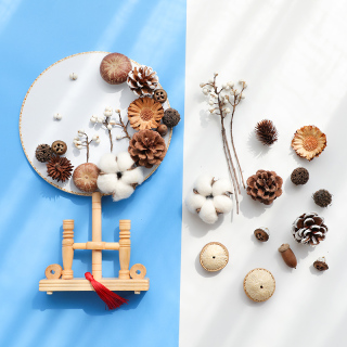 Bahan DIY Bunga Kering