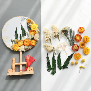 Bahan DIY Bunga Kering