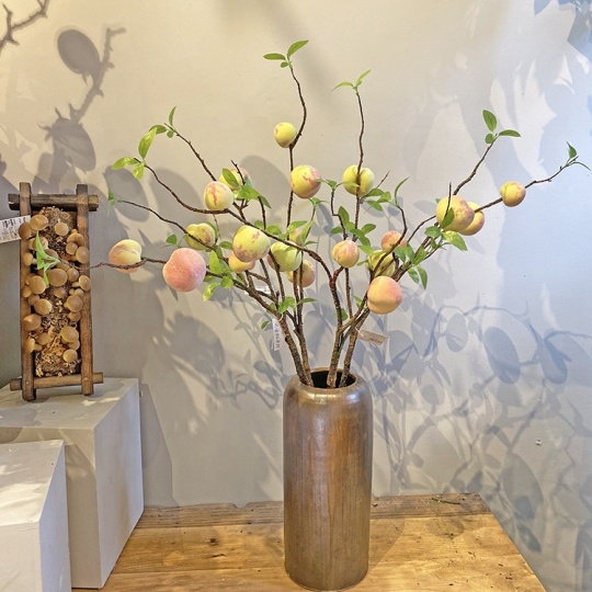 Simulation Peach Branche