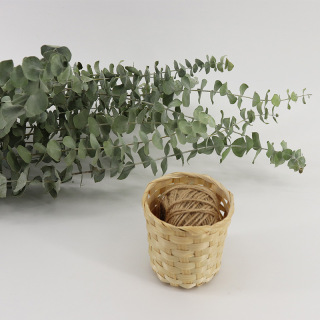 Mazzo di foglie verdi di eucalipto essiccato
