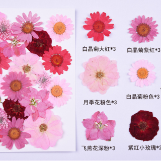 Fiori pressati di alta qualità, fiori secchi