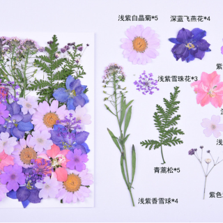 Fiori pressati di alta qualità, fiori secchi