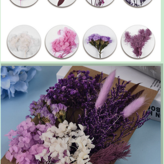 सूखे फूल सामग्री पैकेज