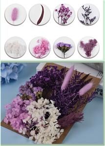 Paquet de matériel de fleurs séchées