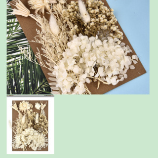 Paquet de matériel de fleurs séchées