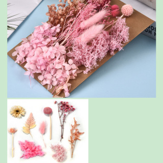 Paquet de matériel de fleurs séchées