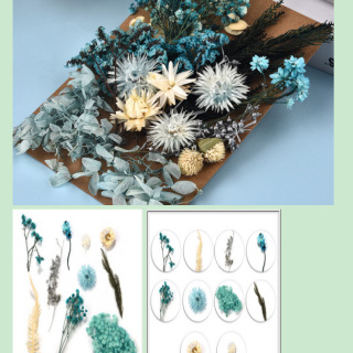Paquet de matériel de fleurs séchées