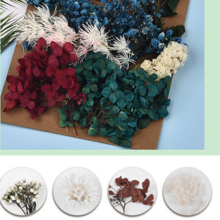 Paquet de matériel de fleurs séchées