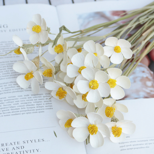 12 तने प्रति गुच्छा मैथियोला इंकाना सुंदर गुलदस्ता