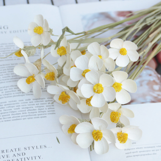 12 steli per mazzo Matthiola Incana Bellissimo bouquet