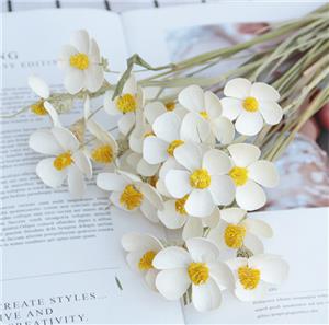 12 steli per mazzo Matthiola Incana Bellissimo bouquet