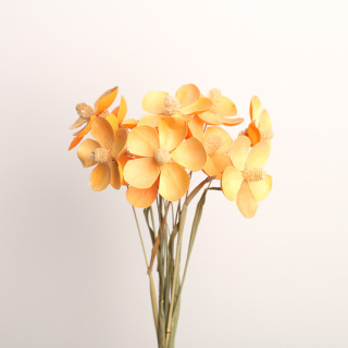 12 steli per mazzo Matthiola Incana Bellissimo bouquet
