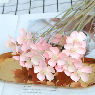 12 steli per mazzo Matthiola Incana Bellissimo bouquet