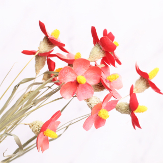 12 steli per mazzo Matthiola Incana Bellissimo bouquet