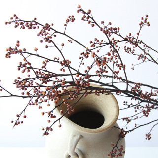 Branches de fruits secs, véritable plante séchée naturelle