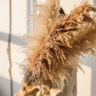 Bouquet di vera erba di pampa secca naturale