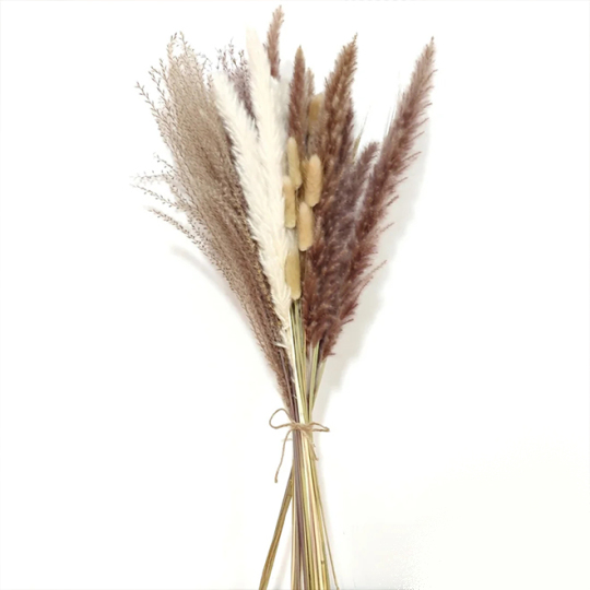 असली प्राकृतिक सूखे पम्पास घास का गुलदस्ता