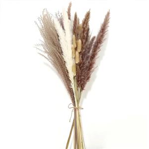 Bouquet di vera erba di pampa secca naturale