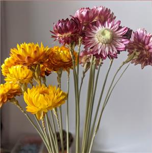 Dry Daisy Bouquet