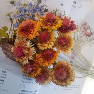Dry Daisy Bouquet