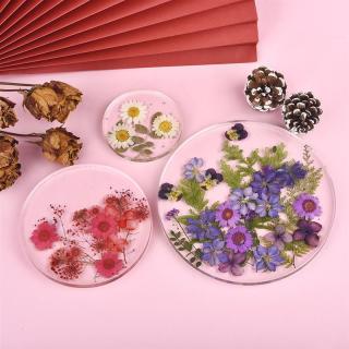 Decorazione Fiori pressati secchi