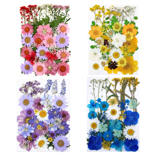 Décoration Fleurs Séchées Pressées