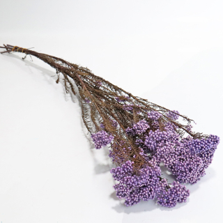 Mazzo di erba secca naturale