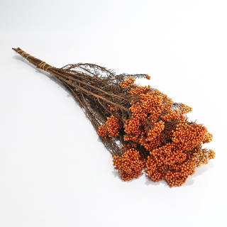 Mazzo di erba secca naturale