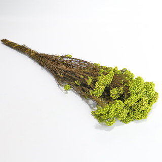 Mazzo di erba secca naturale