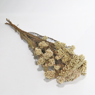 Mazzo di erba secca naturale