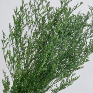 Mazzi di erba naturale secca