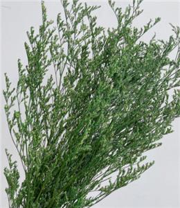 Mazzi di erba naturale secca