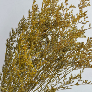 Mazzi di erba naturale secca