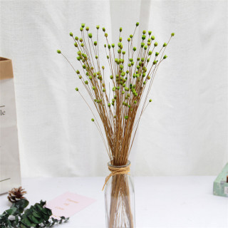 Piccolo bouquet di gipsofila secca naturale